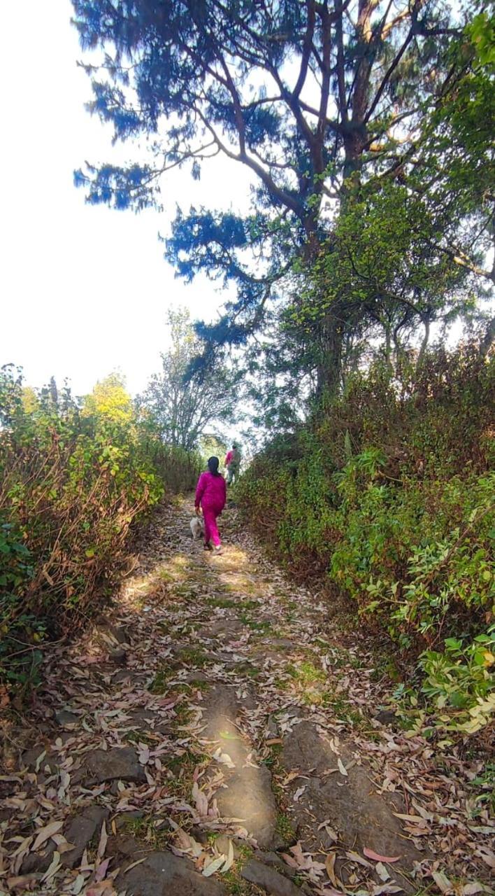Willa Frozen Monks Kodaikanal Zewnętrze zdjęcie