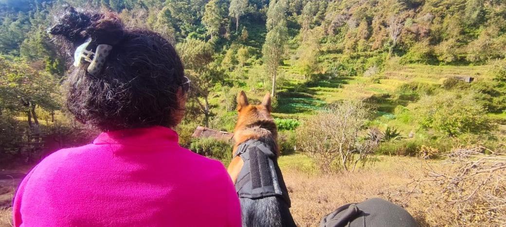 Willa Frozen Monks Kodaikanal Zewnętrze zdjęcie