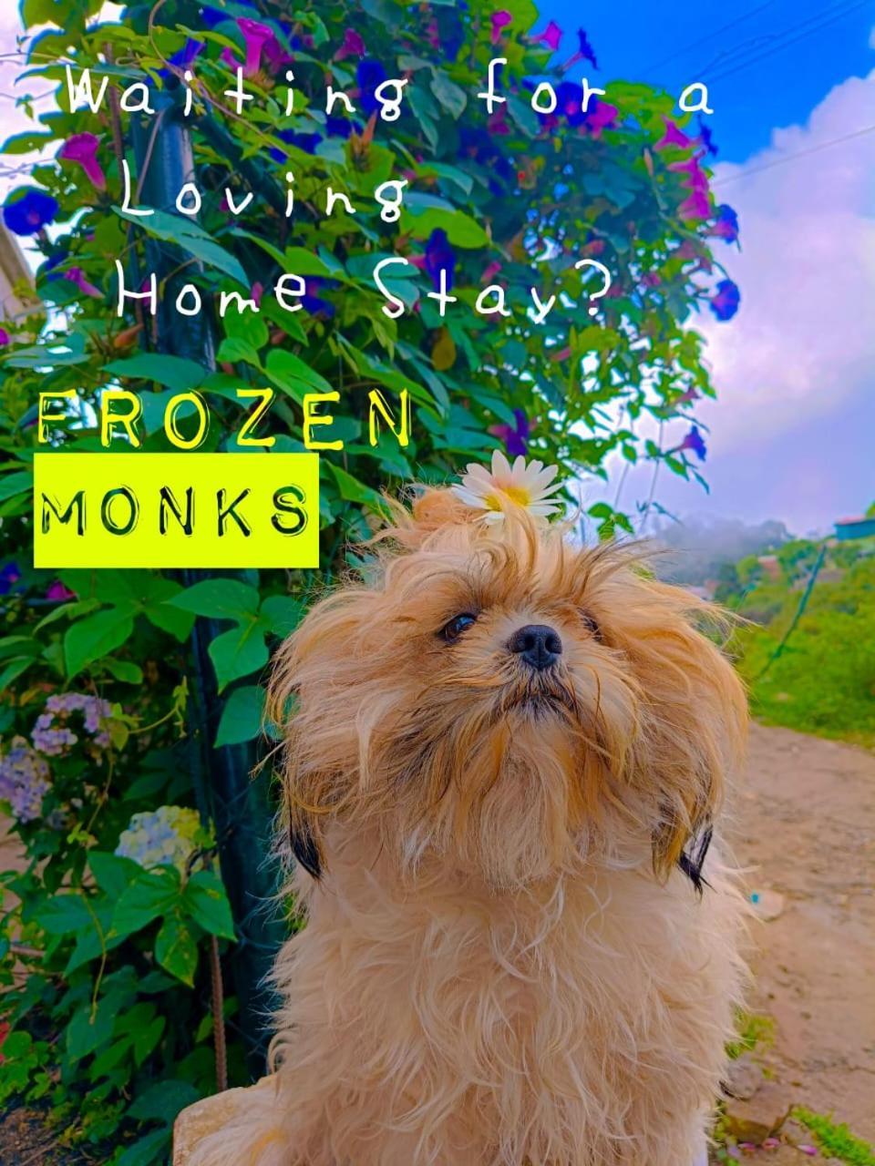 Willa Frozen Monks Kodaikanal Zewnętrze zdjęcie